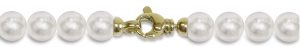 Filo di Perle Akoya 7x7½ mm